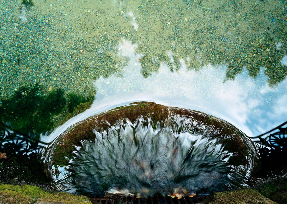 David Willen Tania Willen P03 01