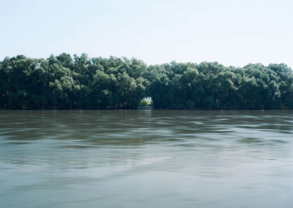 David Willen Tania Willen P03 06