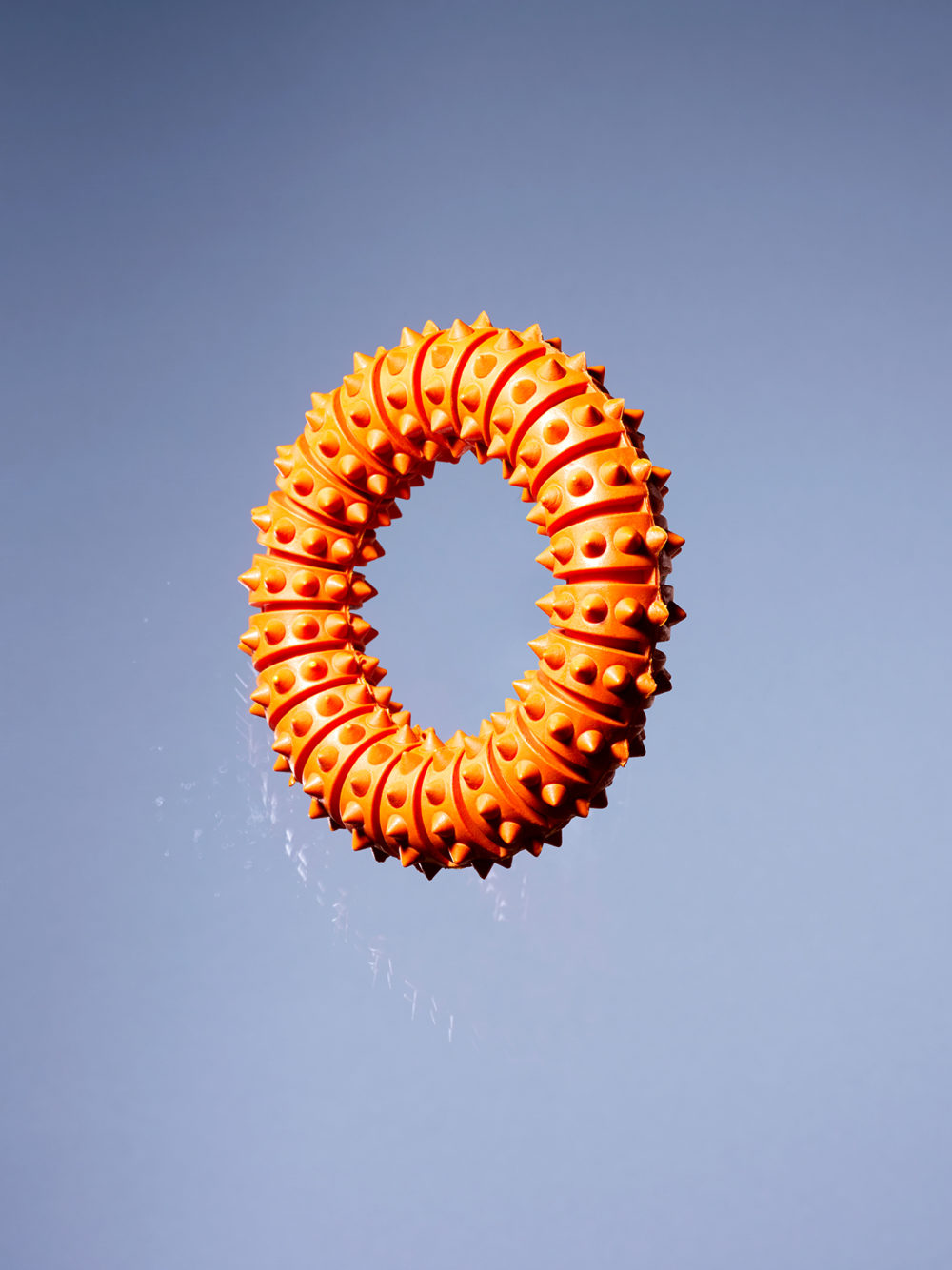 Fetch Studio Willen 02