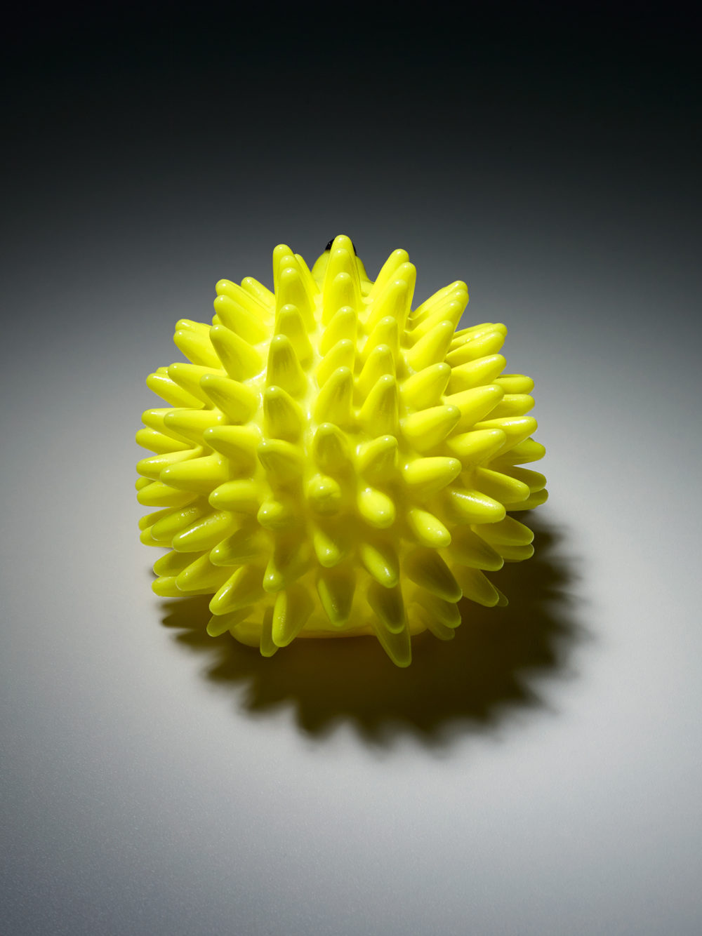 Fetch Studio Willen 04