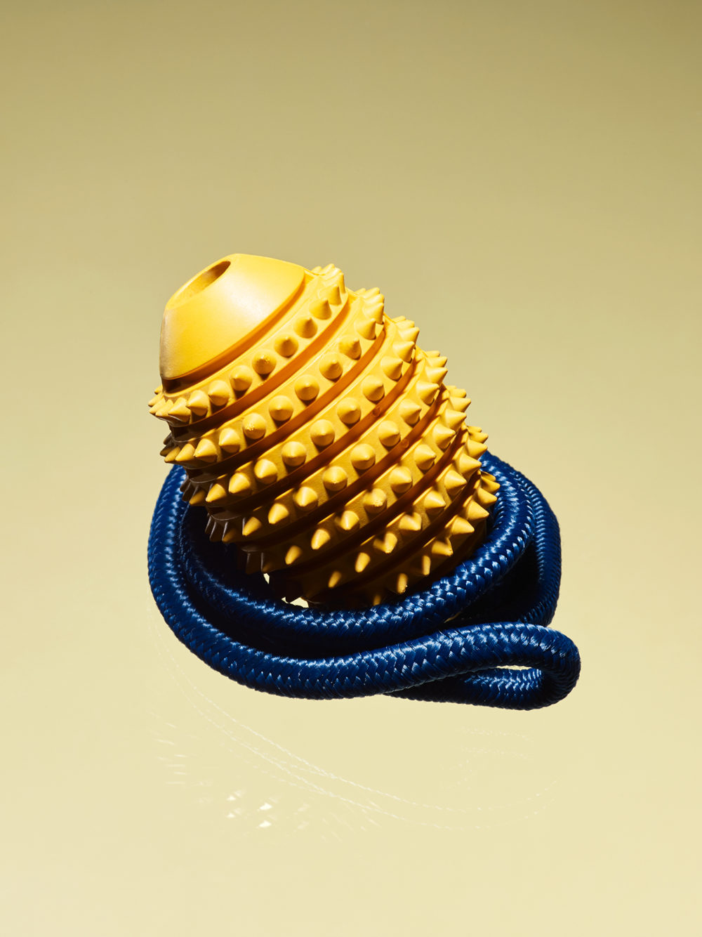 Fetch Studio Willen 05