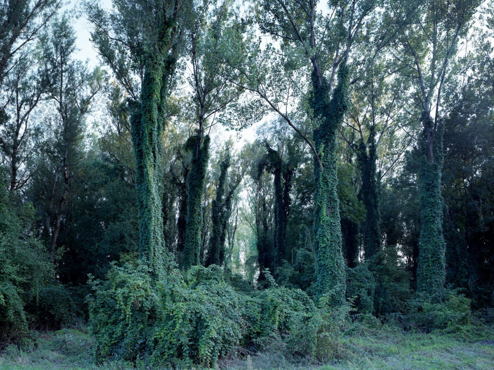 03 David Willen Tania Willen P04