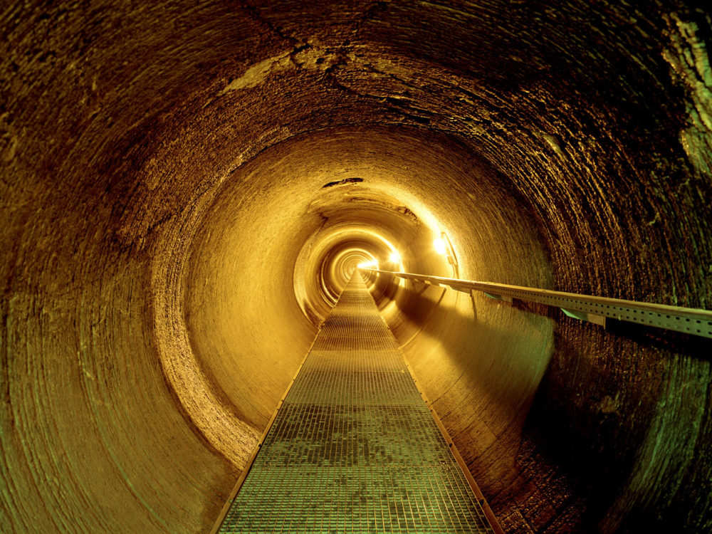 20 David Willen Tania Willen P04