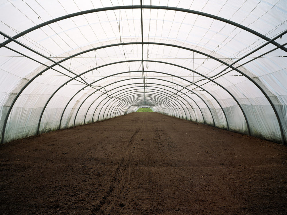 24 David Willen Tania Willen P04