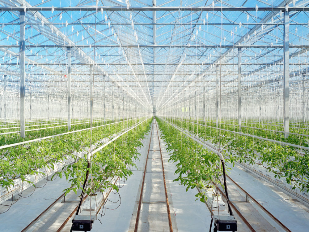 25 David Willen Tania Willen P04