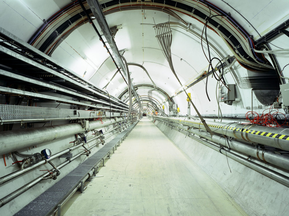 33 David Willen Tania Willen P04