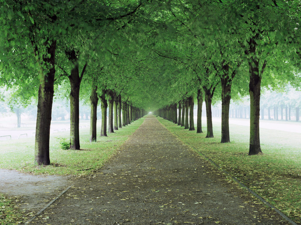 41 David Willen Tania Willen P04