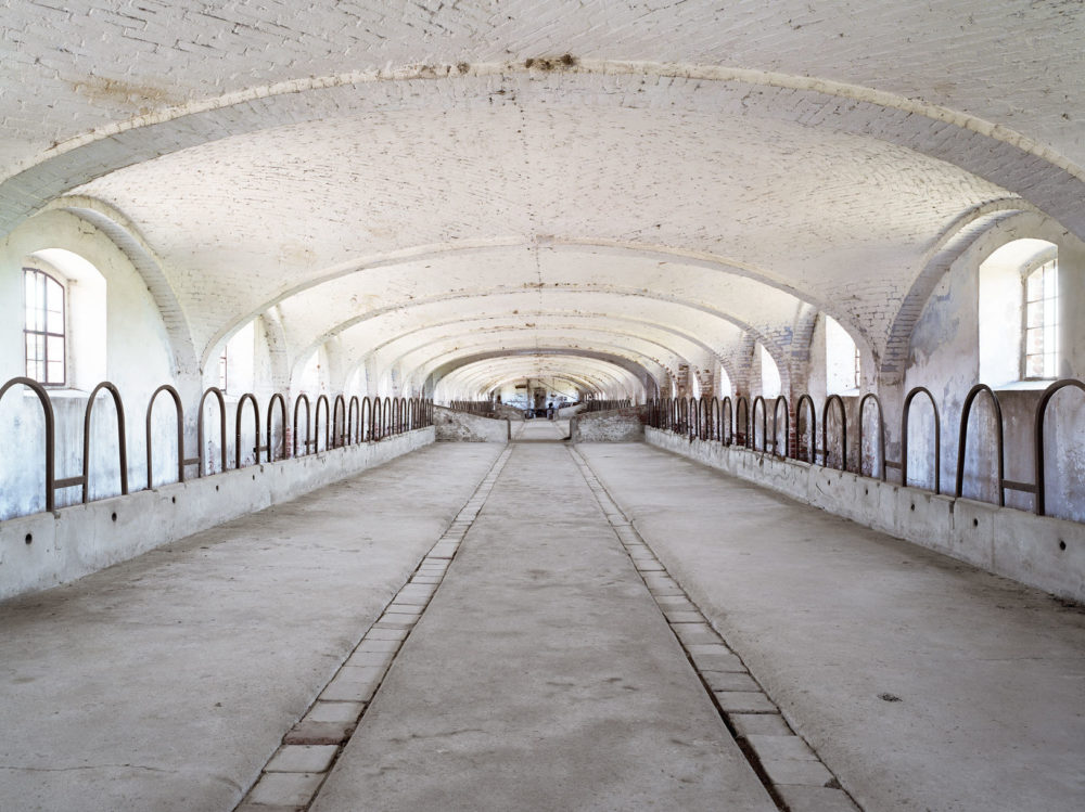 52 David Willen Tania Willen P04