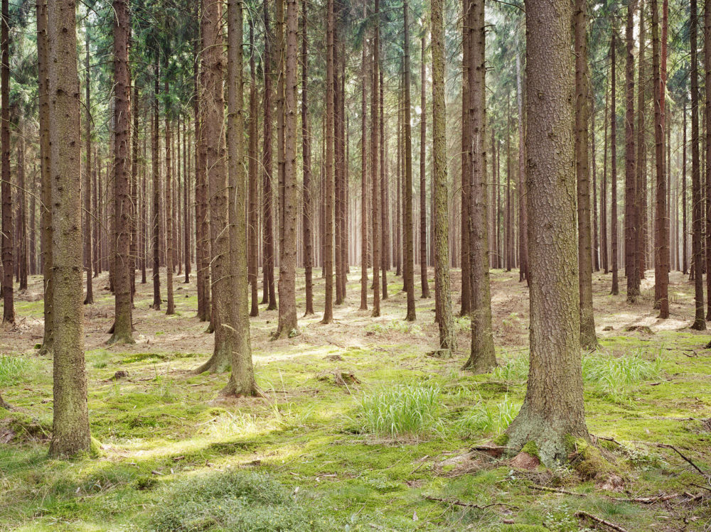 55 David Willen Tania Willen P04