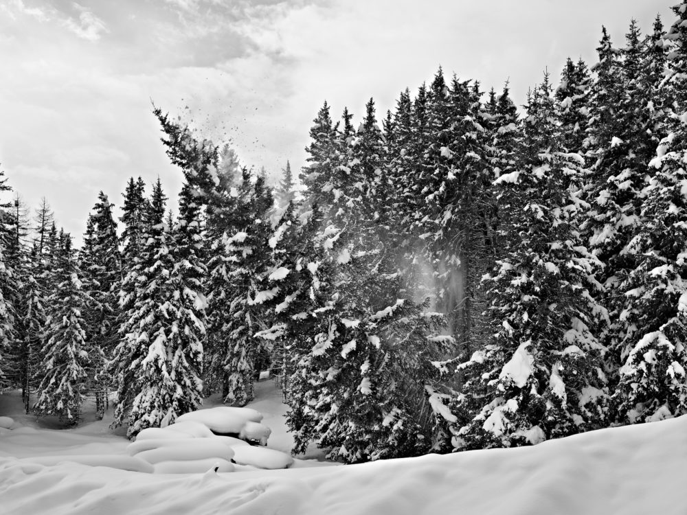 01 Hurlevent I 2012 02 011