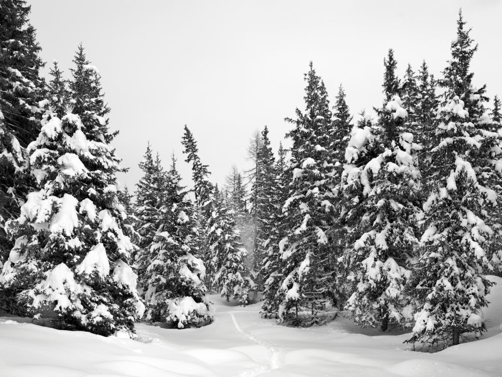 02 Hurlevent II 2012 02 015