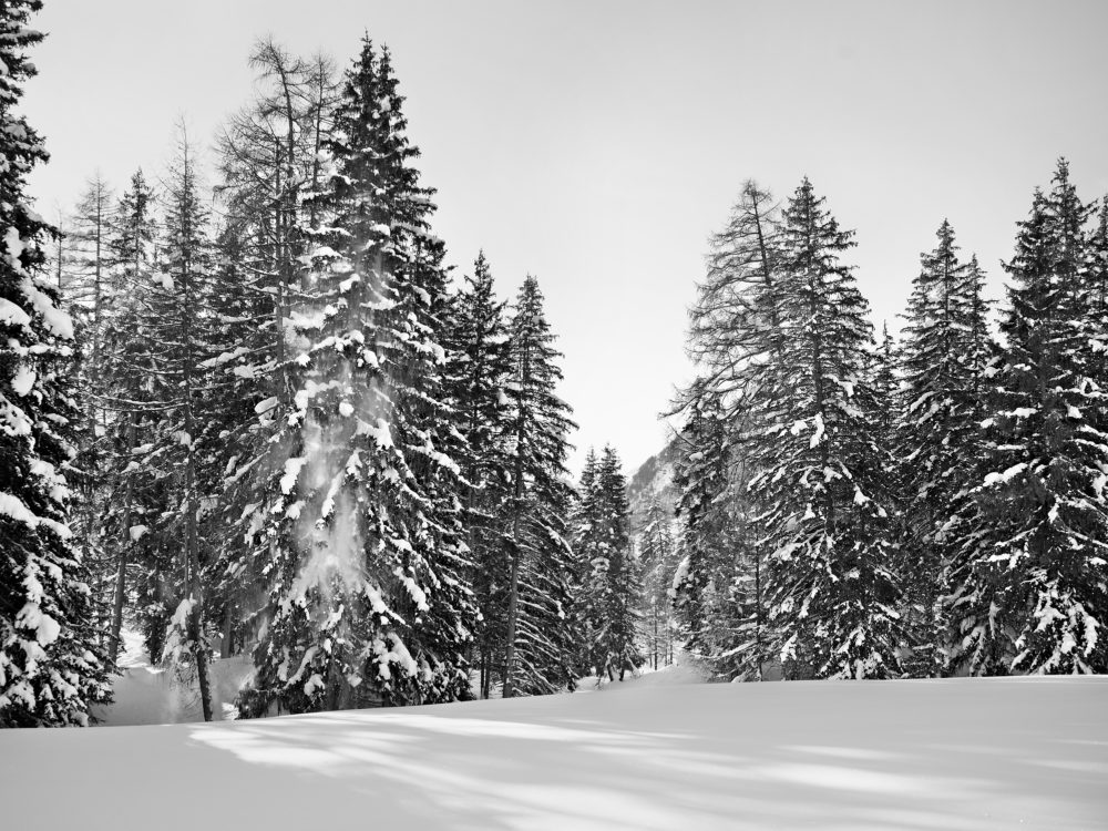 04 Hurlevent IV 201202 084