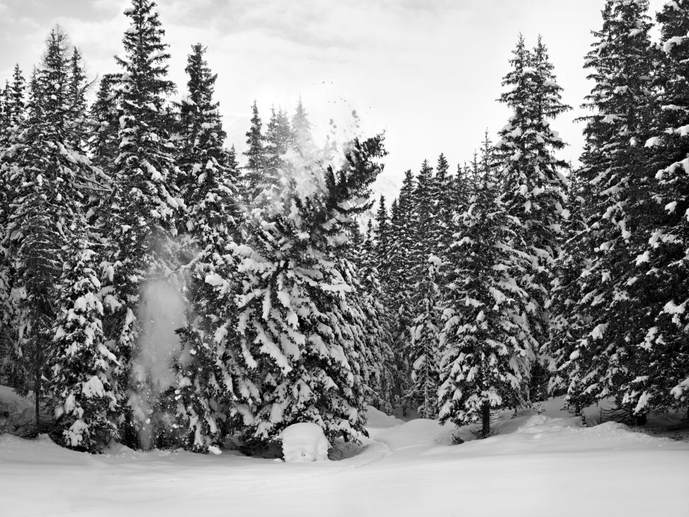 05 Hurlevent V 2012 02 024