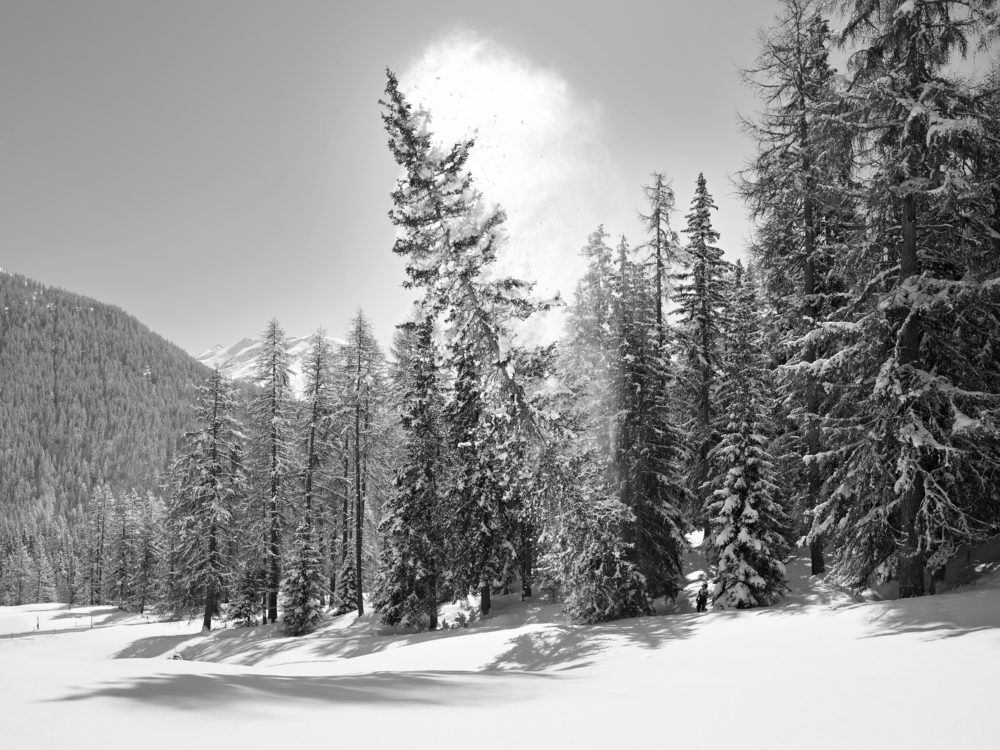 07 Hurlevent VII 2012 05 046