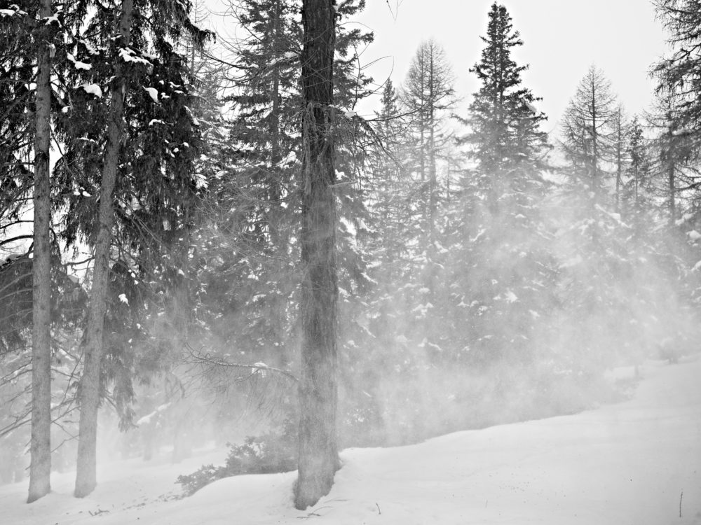 10 Hurlevent X 2012 04 017