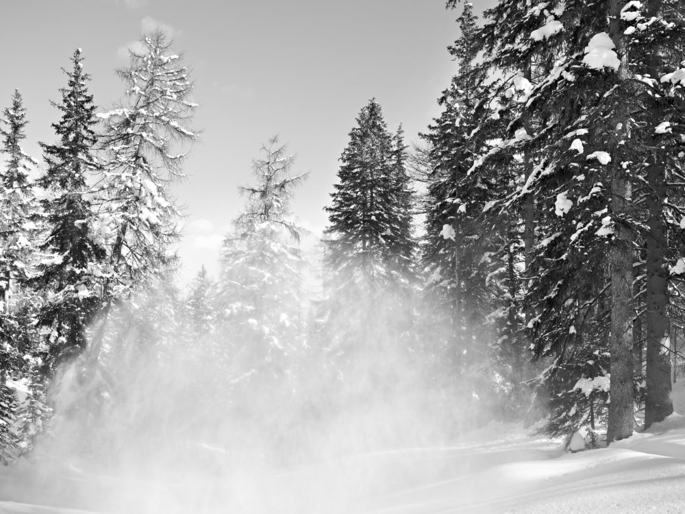 11 Hurlevent XI 2012 03 024