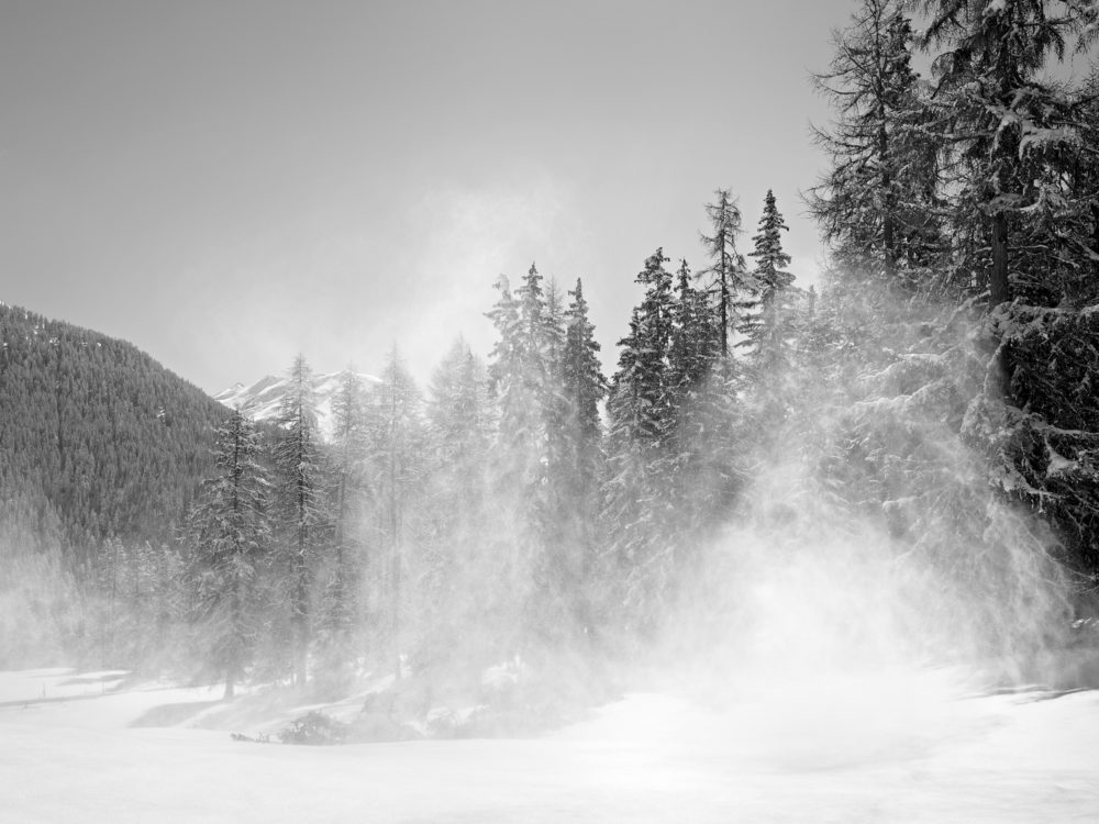 12 Hurlevent XII 2012 05 047