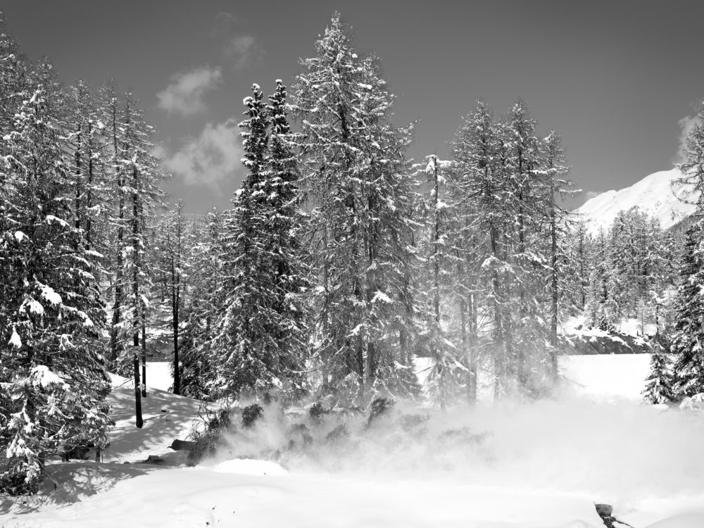 13 Hurlevent XIII 2012 05 027