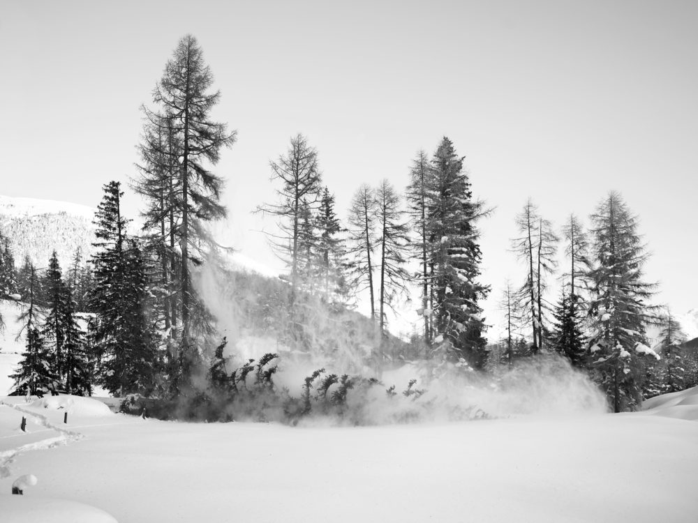 14 Hurlevent XIV 2012 02 056