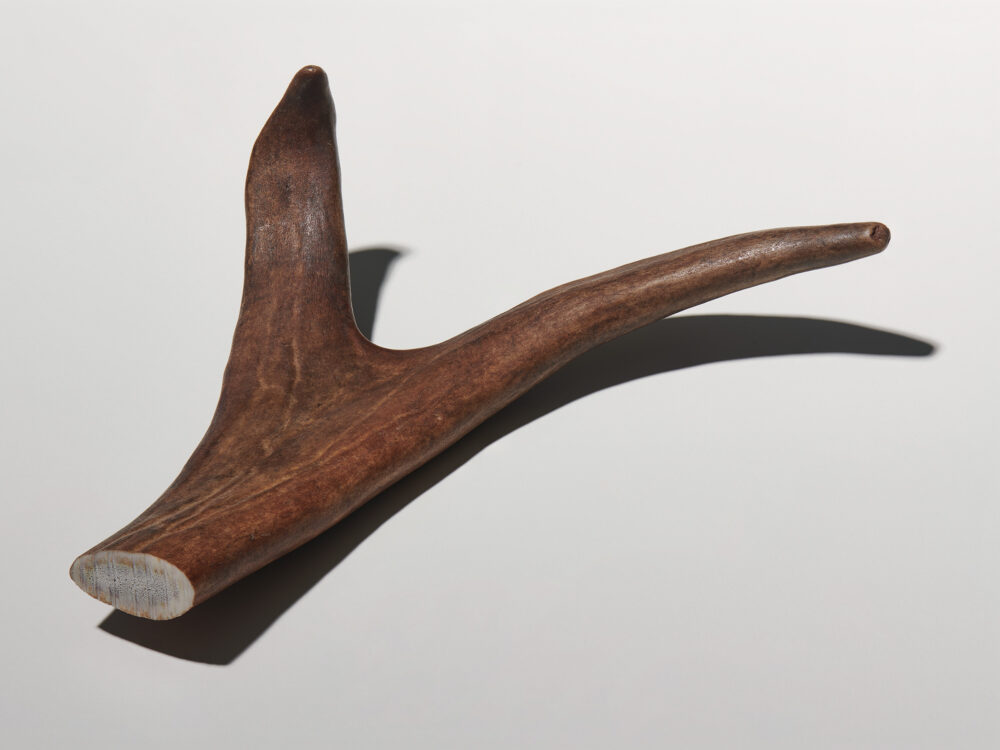 Octopus s Garden Studio Willen 01