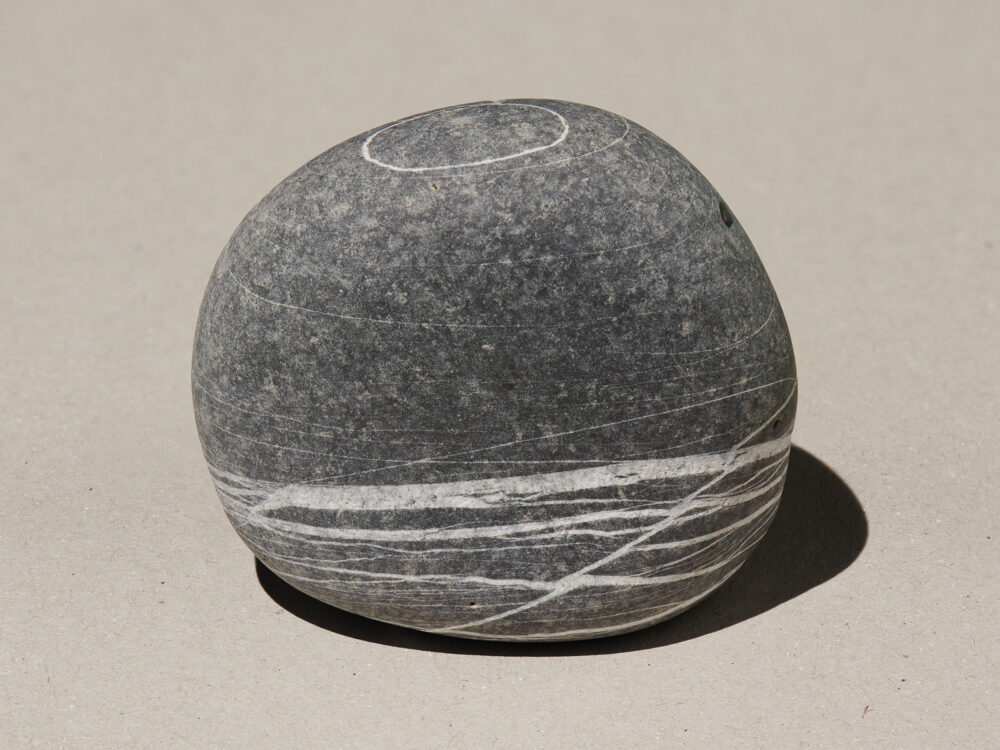 Octopus s Garden Studio Willen 03