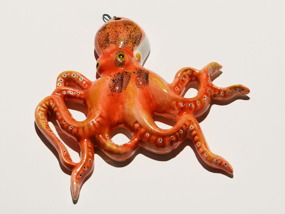 Octopus s Garden Studio Willen 04