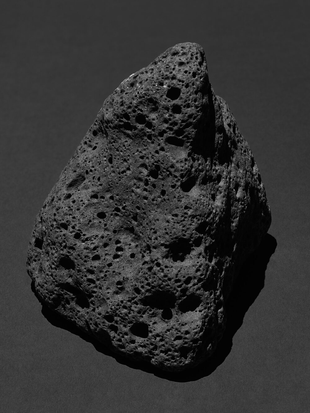 Octopus s Garden Studio Willen 06