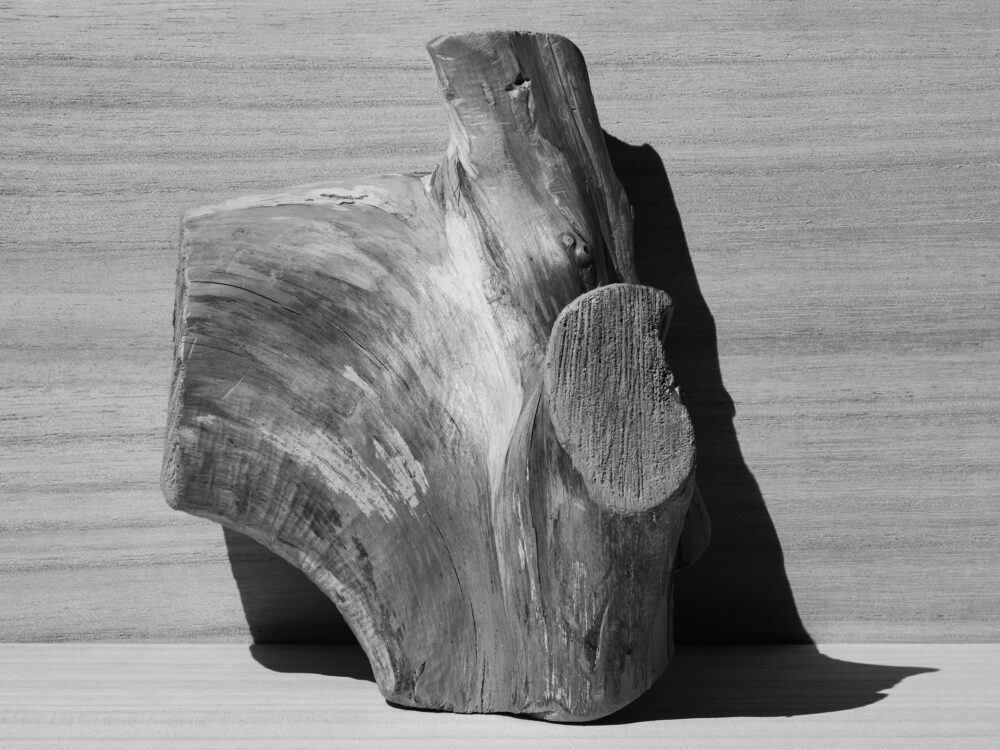 Octopus s Garden Studio Willen 08