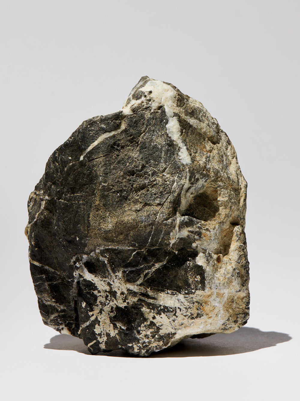 Octopus s Garden Studio Willen 12